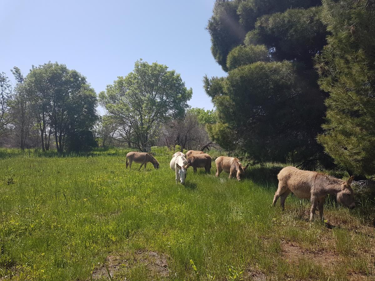 הוילה ויאס Analaya מראה חיצוני תמונה